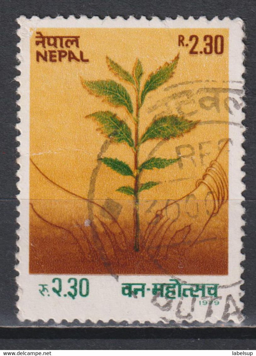 Timbre Oblitéré Du Népal De 1979 N° 346 - Népal