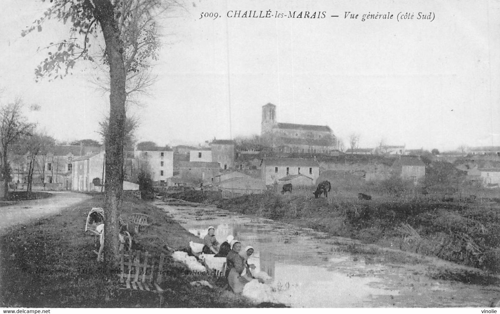 22-5967 : CHAILLE-LES-MARAIS. LAVANDIERE - Chaille Les Marais