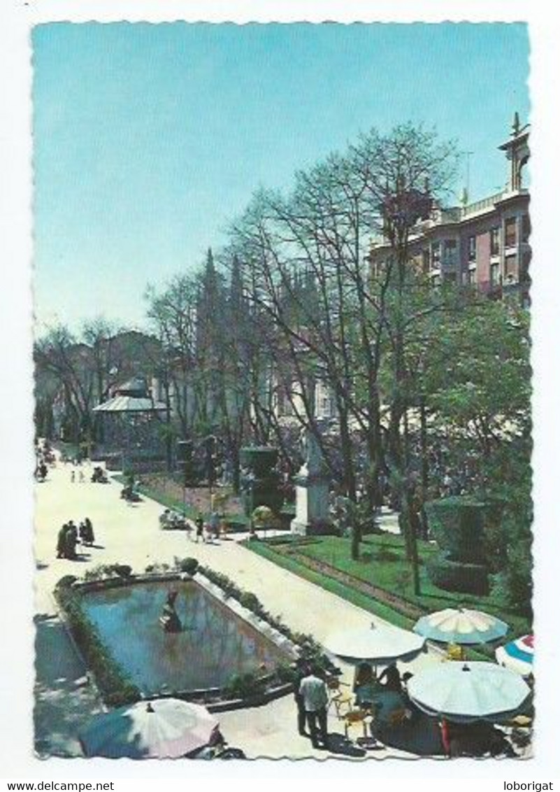 EL ESPOLON / SPUR WALK / PROMENADE DE L'EPERON.-  BURGOS.- ( ESPAÑA). - Burgos