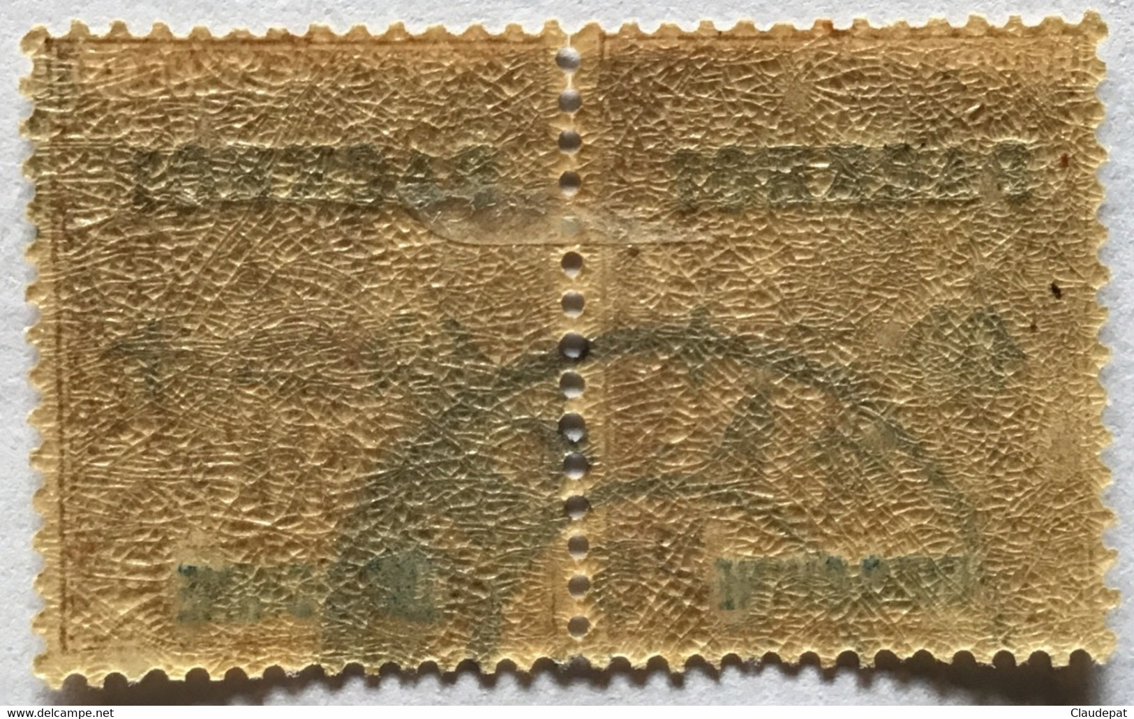 PAKHOI 1902 PAKHOI N°10, 30C, Oblitéré Sans Charnière, Par Paire - Unused Stamps