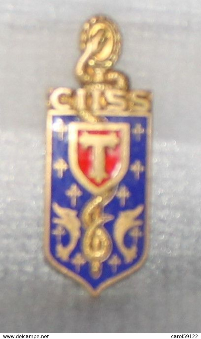 Insigne Badge CIISS 6 Centre Instruction Interarmées Service Santé émail Drago - Francia