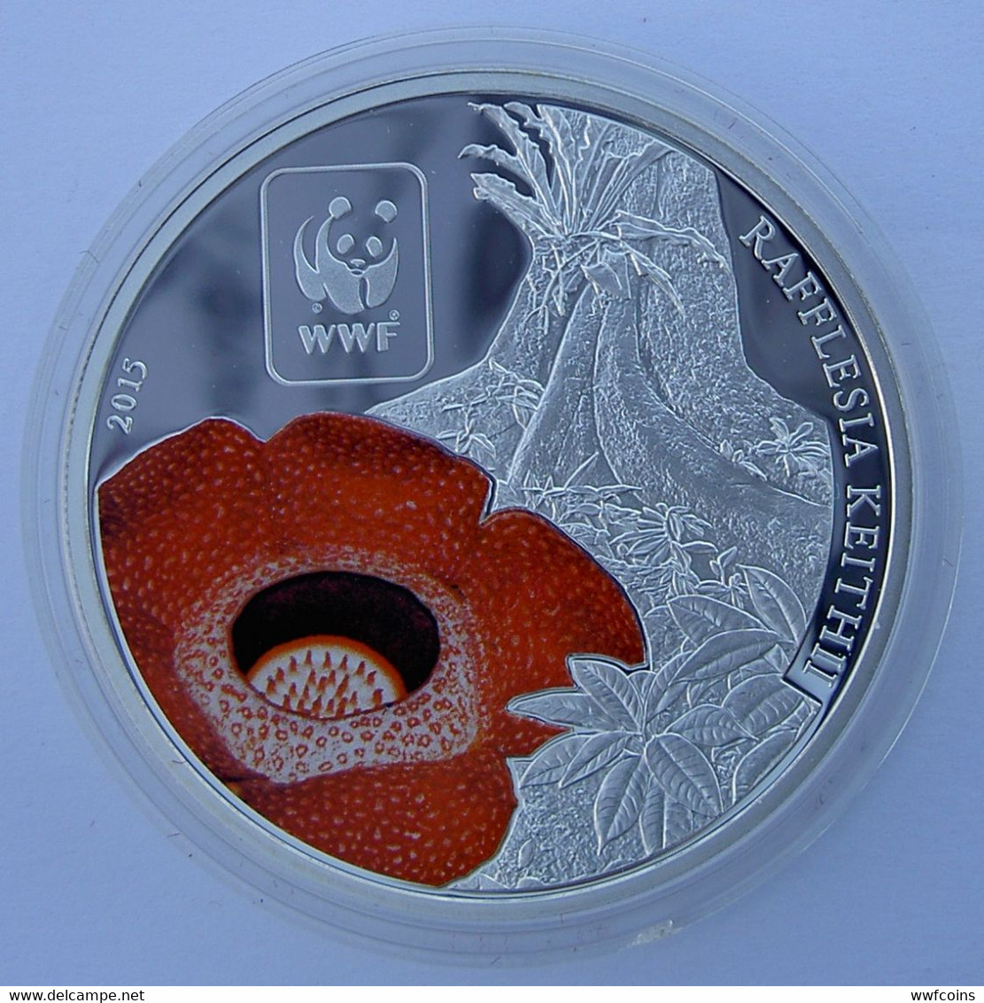 REPUBLIQUE CENTRAFRICAINE 100 F 2015 RAFLESIA KEITHII FIORE FLOWER WWF SERIE PIANTE WEIGHT 25g CONSERVAZIONE FONDO SPECC - Centraal-Afrikaanse Republiek