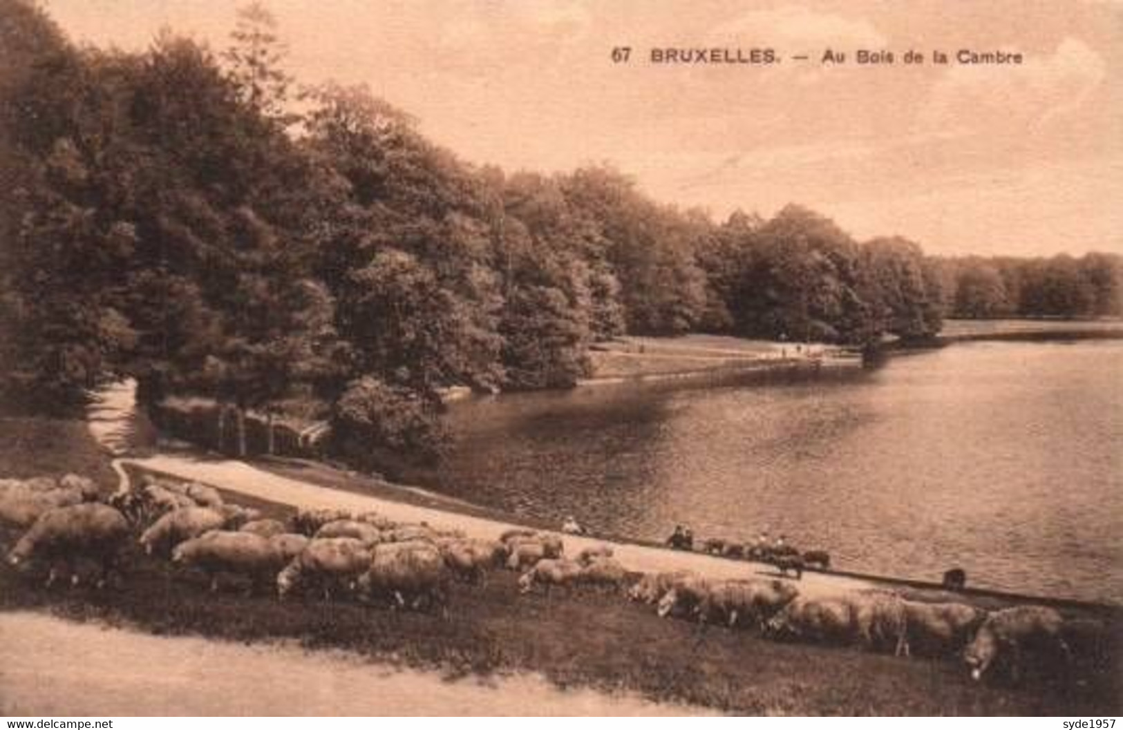 Bruxelles Au Bois De La Cambre - Bossen, Parken, Tuinen