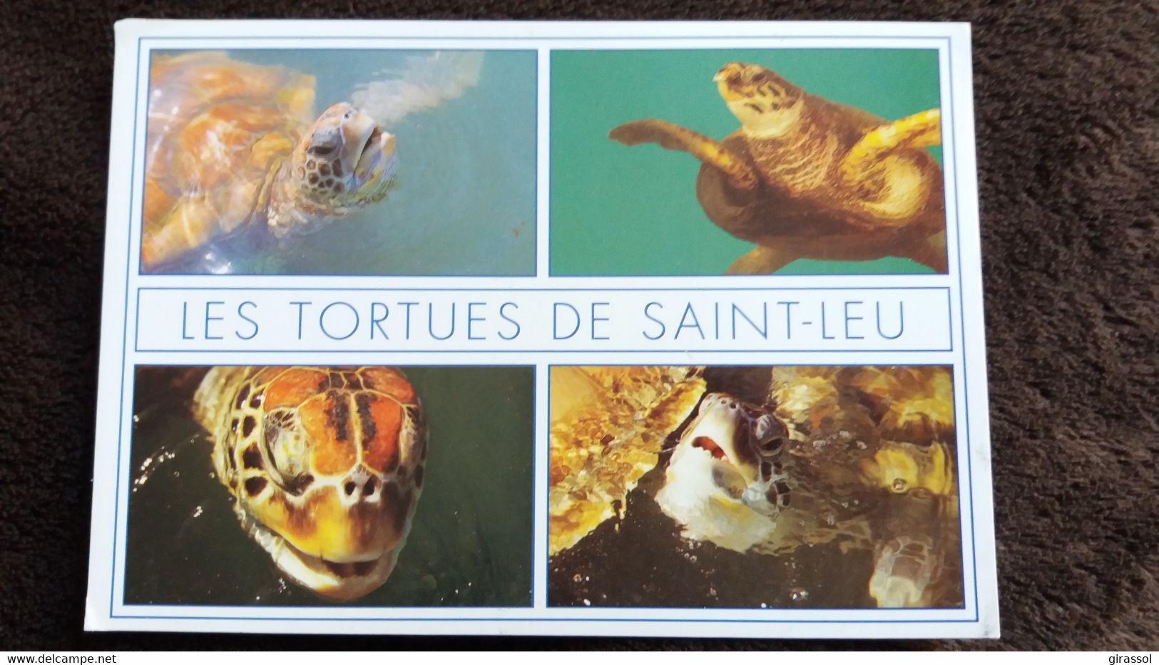 CPM LES TORTUES DE SAINT LEU ILE DE LA REUNION PHOTO AM BREGER ED CLIN D OEIL  TORTUE - Turtles