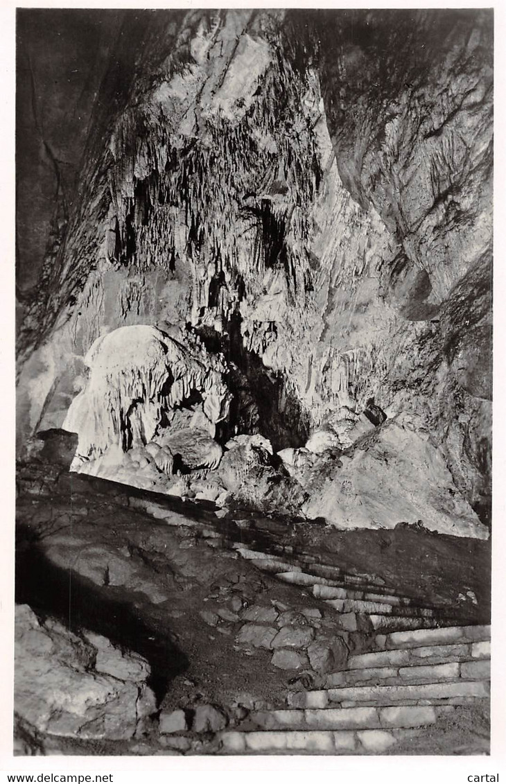 LES GROTTES DE HAN-SUR-LESSE - La Salle Du Trophée - Rochefort