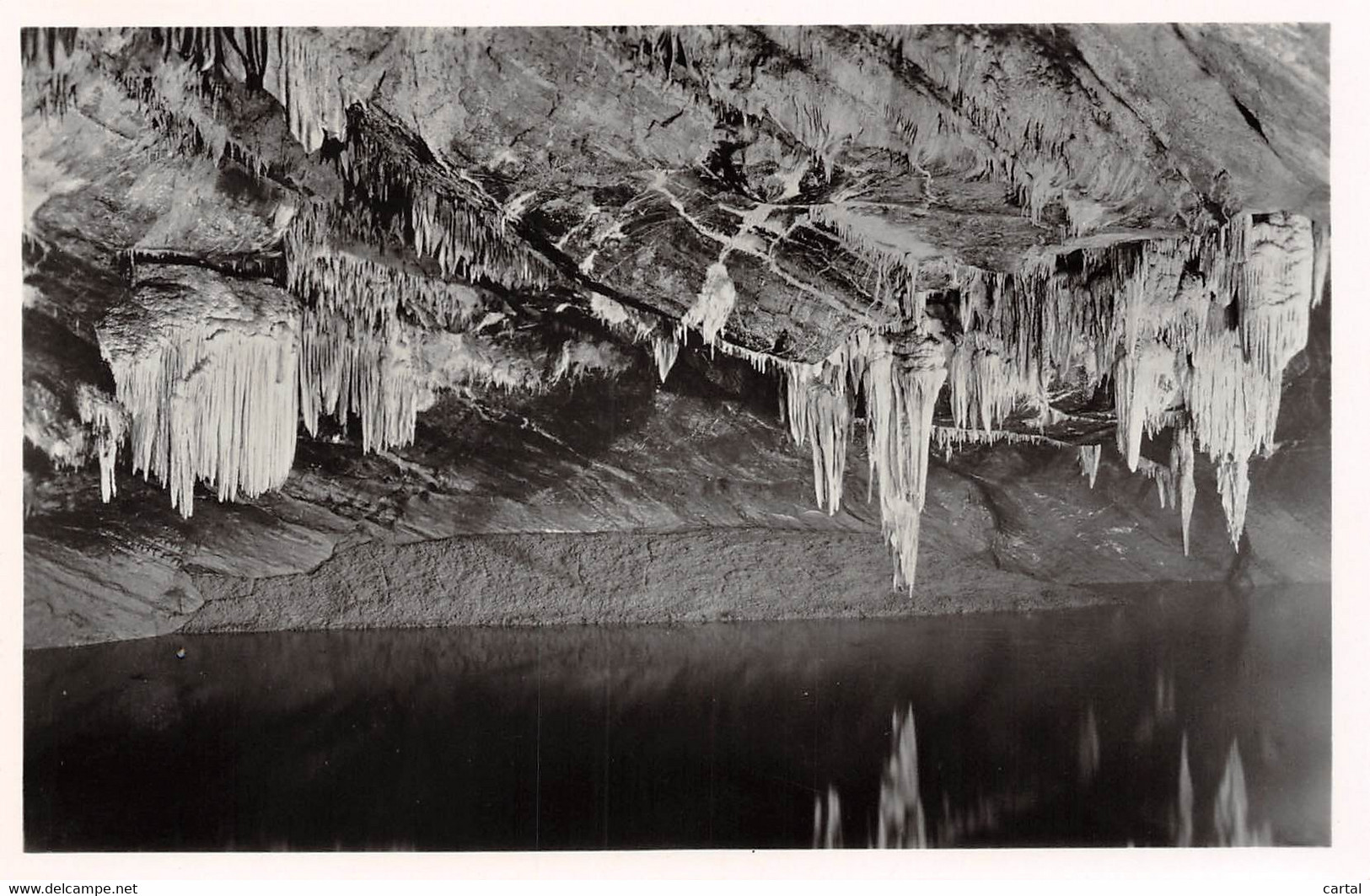 LES GROTTES DE HAN-SUR-LESSE - Les Draperies - Rochefort