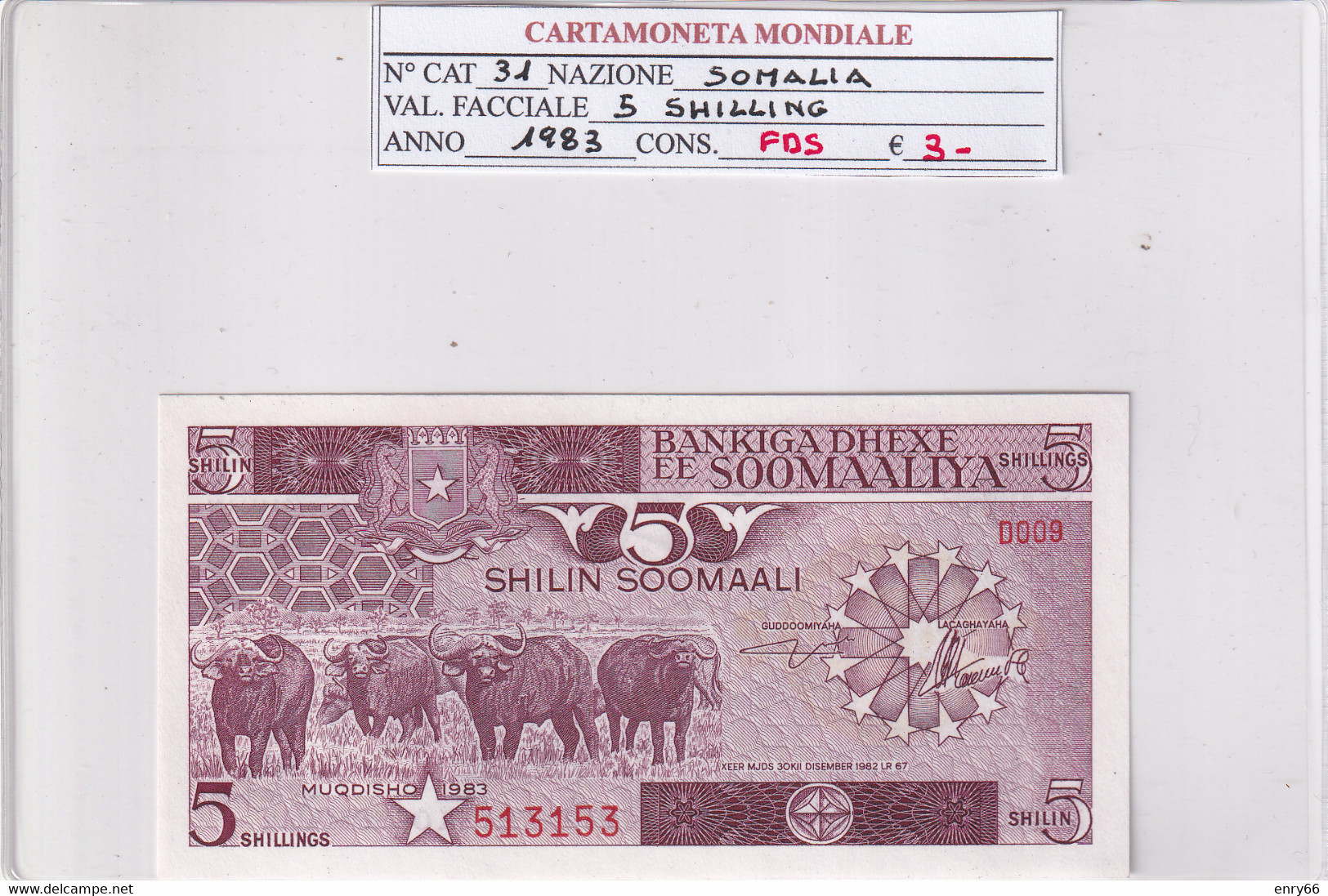 SOMALIA 5 SHILIN 1983 P31 - Somalie