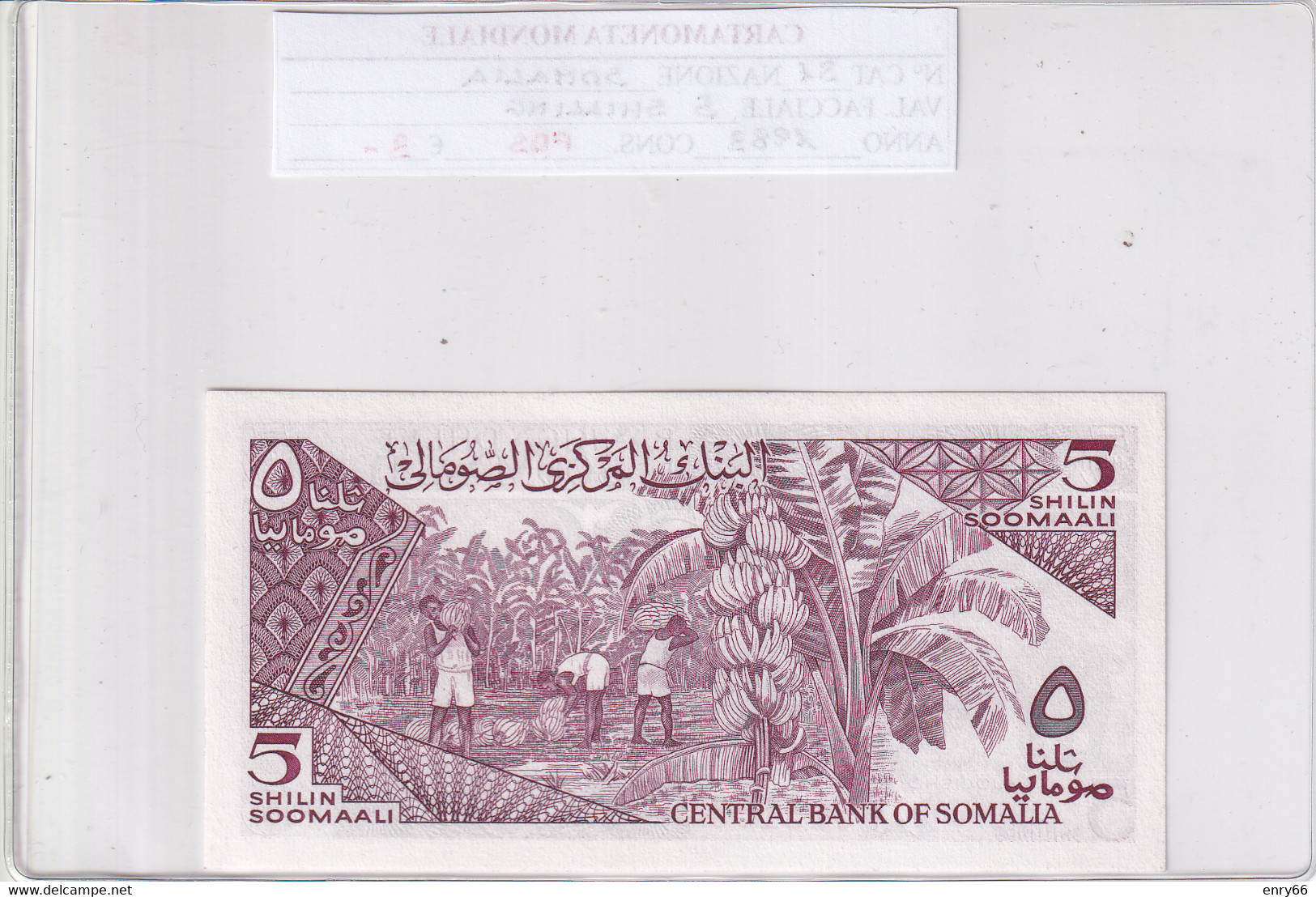 SOMALIA 5 SHILIN 1983 P31 - Somalie