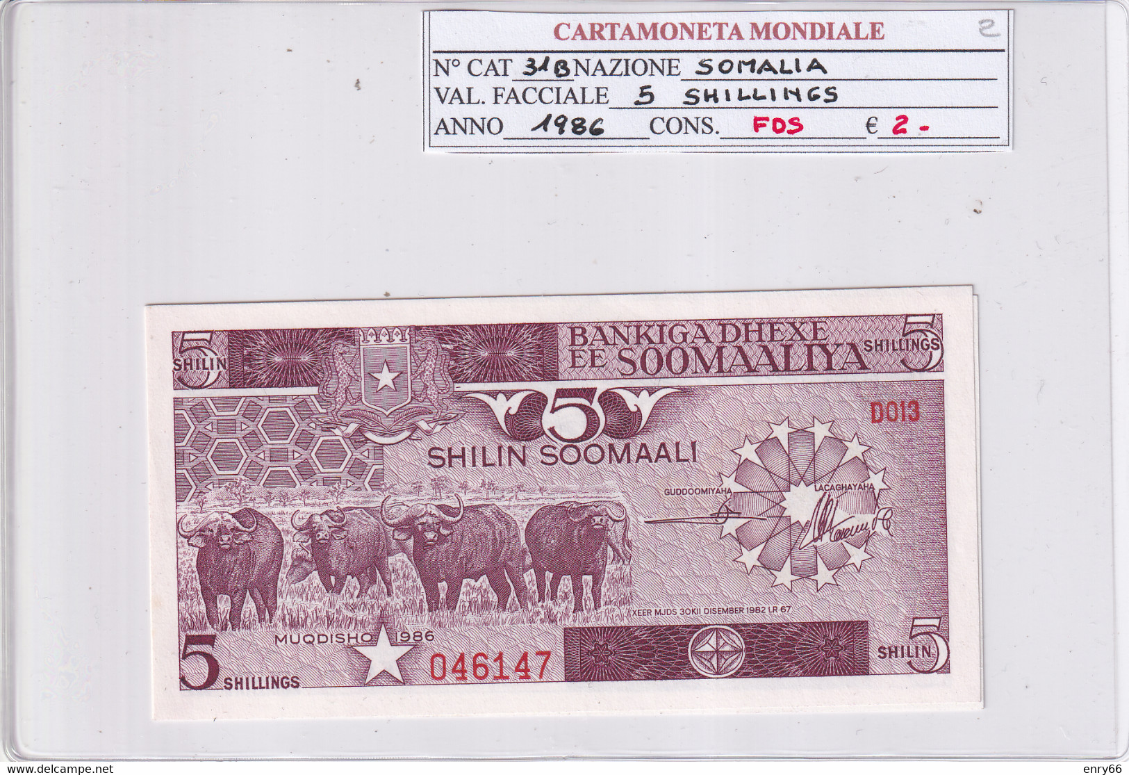 SOMALIA 5 SHILIN 1986 P31B - Somalie