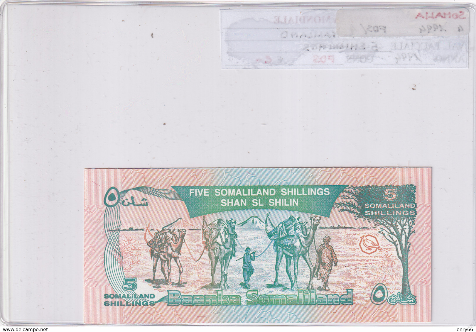 SOMALIA 5 SHILLINGS 1994 P1 - Somalia