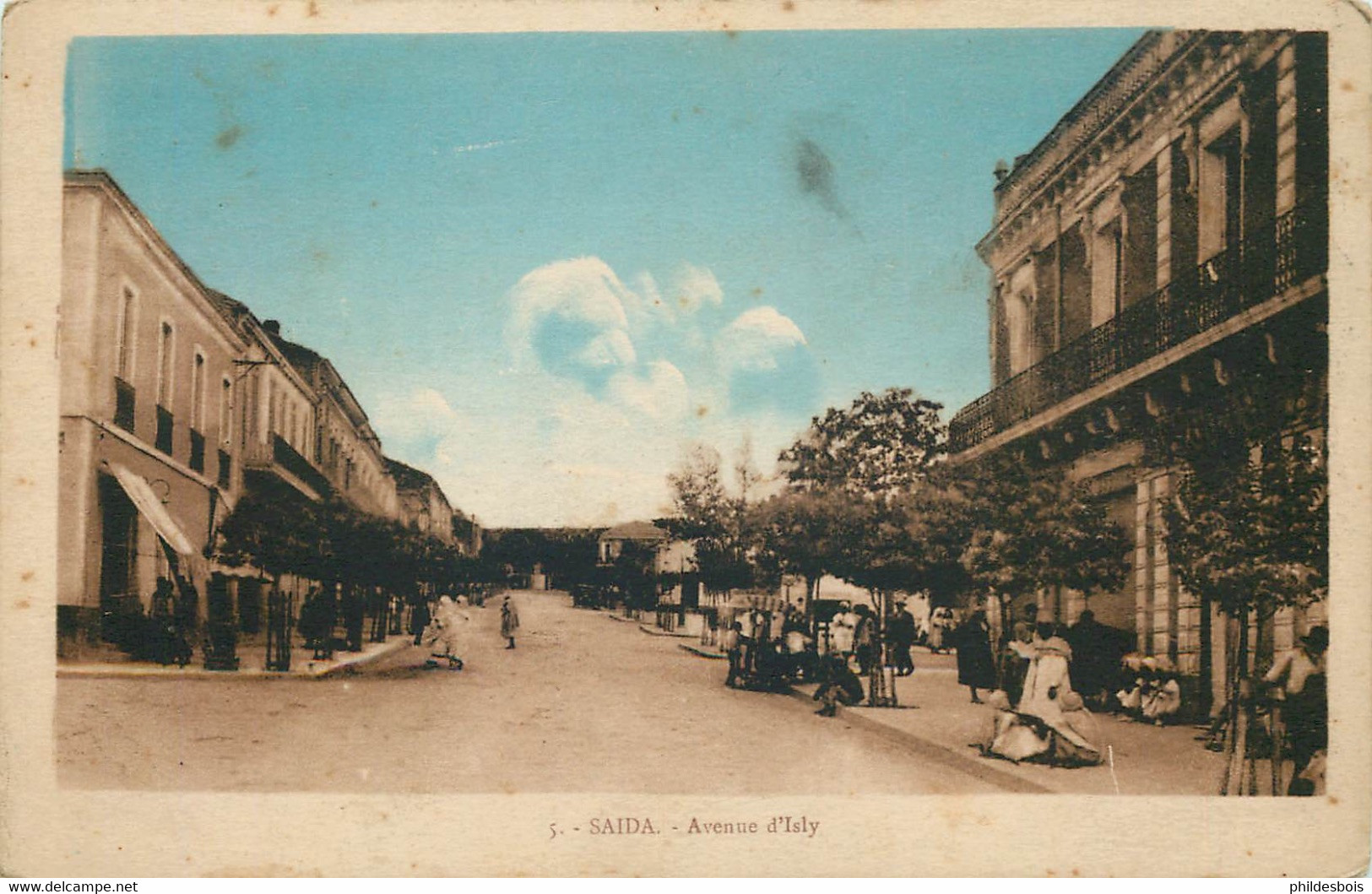 ALGERIE  SAÏDA  Avenue D'isly - Saïda
