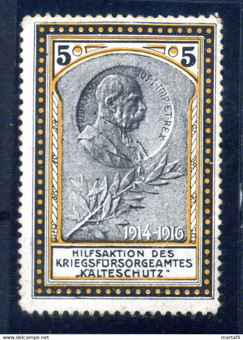 ERINNOFILIA / 1914-1916 Hilfsaktion Des Kriegsfursorgeamtes Kalteschutz - Erinofilia