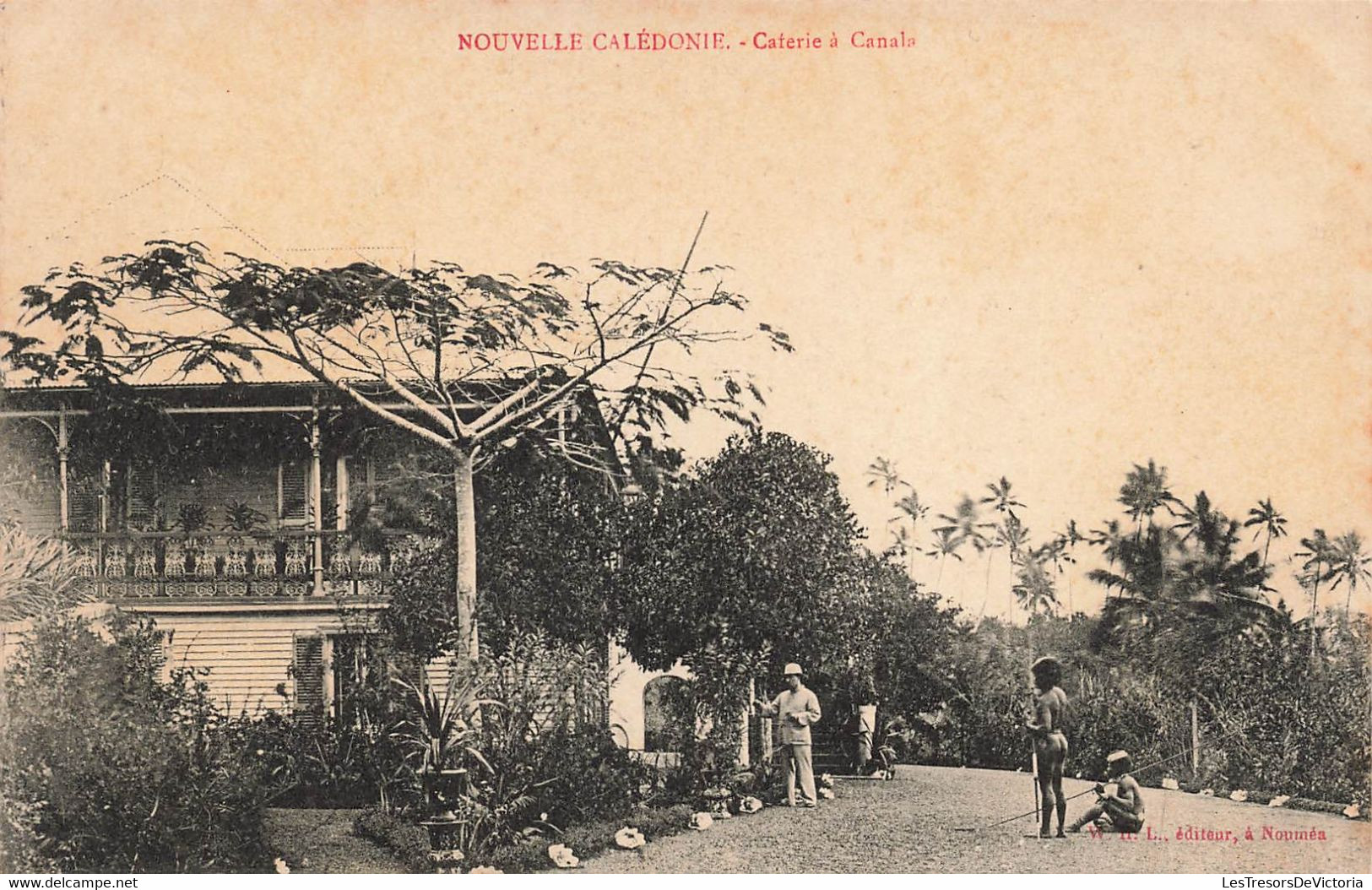 CPA NOUVELLE CALEDONIE - Caferie à Canala - W H L Editeur - Nuova Caledonia