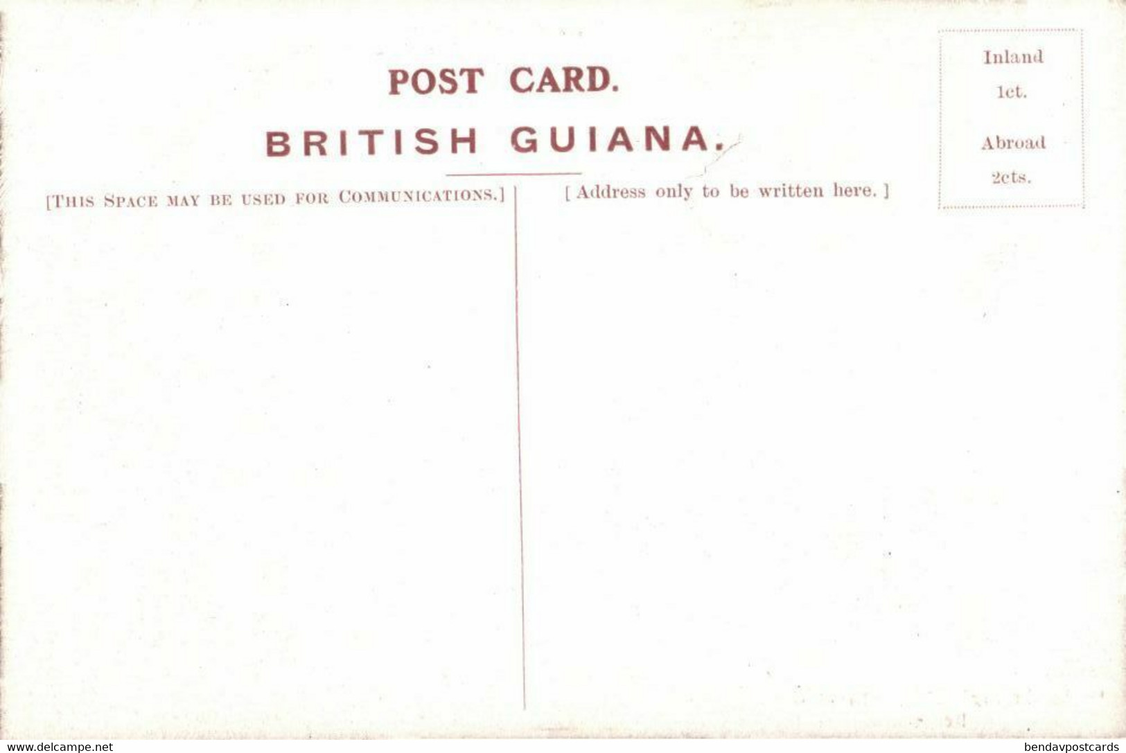 British Guiana, Guyana, GEORGETOWN, Avenue Of Cocoanut Palms To Sea Wall (1910s) - Guyana (formerly British Guyana)