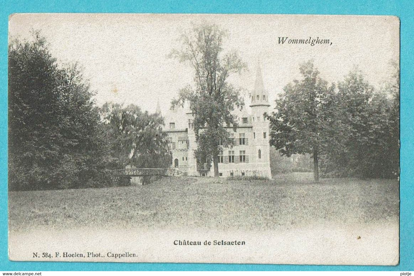 * Wommelgem - Wommelghem (Antwerpen - Anvers) * (F. Hoelen, Nr 584) Chateau De Selsaeten, Kasteel, Schloss, TOP - Wommelgem