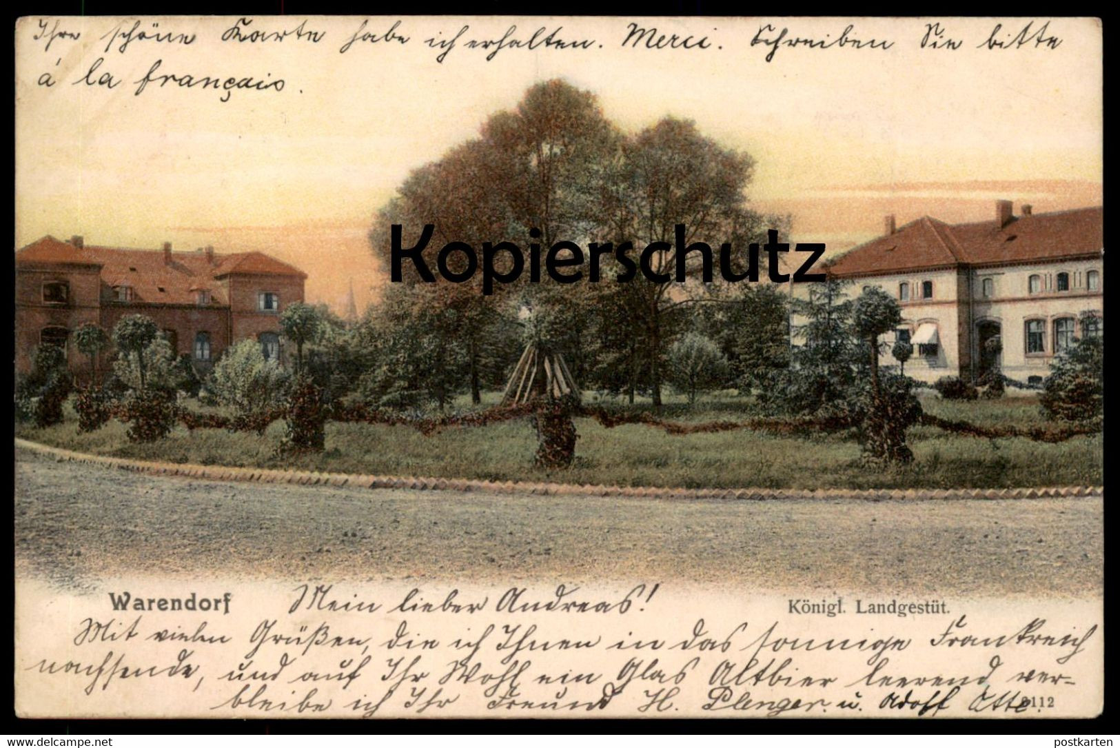 ALTE POSTKARTE WARENDORF KÖNIGLICHES LANDGESTÜT 1904 Ansichtskarte AK Cpa Postcard - Warendorf