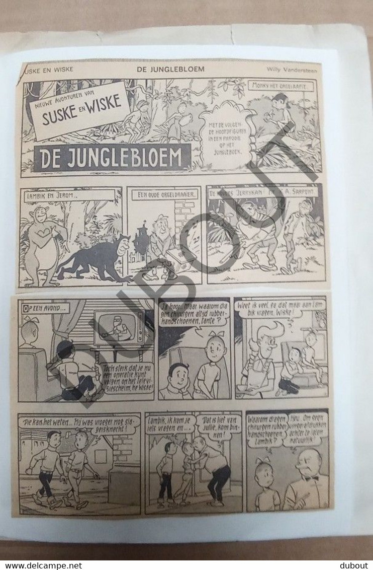 Krantenstrip - Suske En Wiske - De Junglebloem - Willy Vandersteen  ±1970  (V2066) - Suske & Wiske