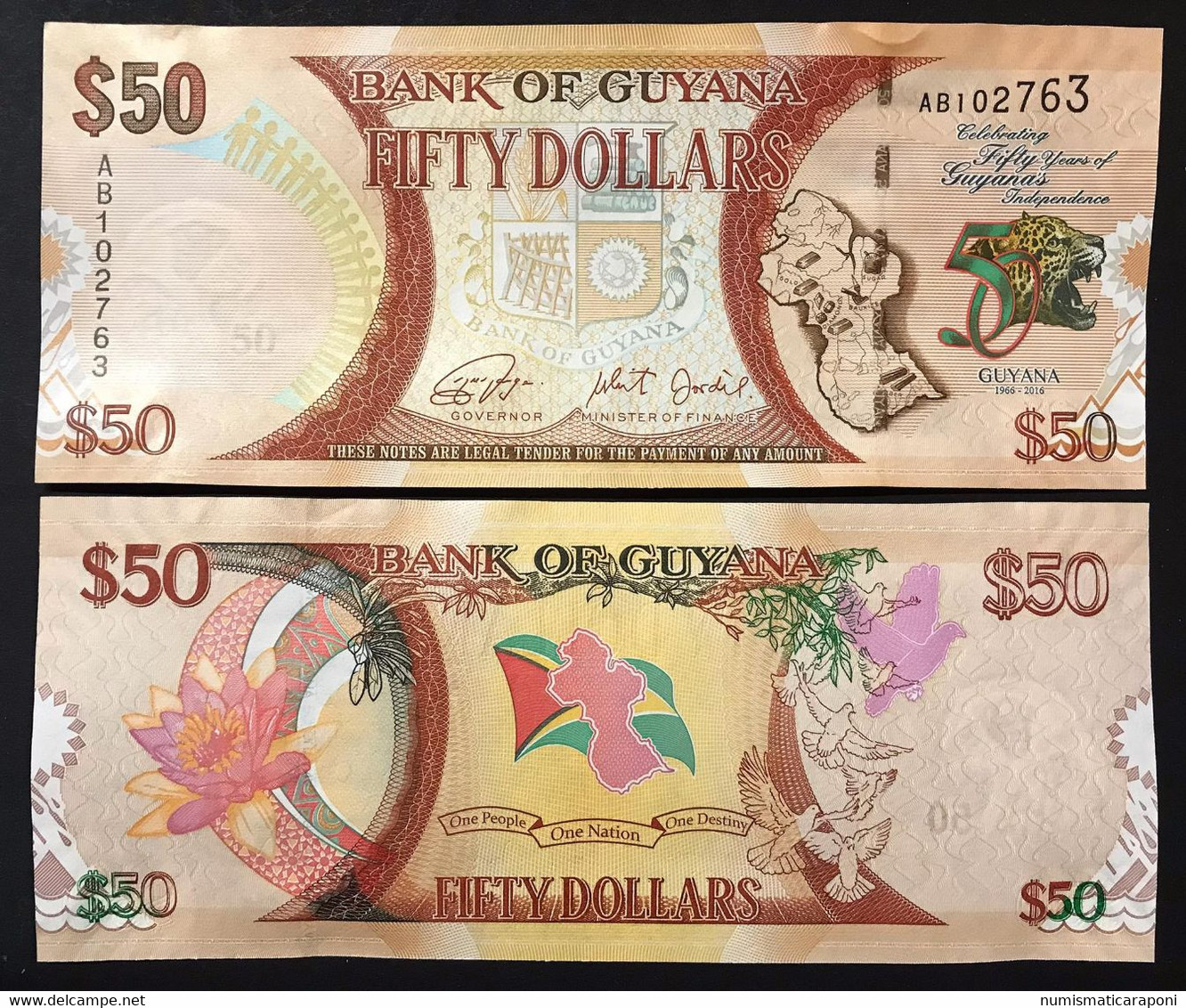 Guyana 50 DOLLARS 2016 COMMEMORATIVE Pick#41 NEW UNC M.040 - Guyana