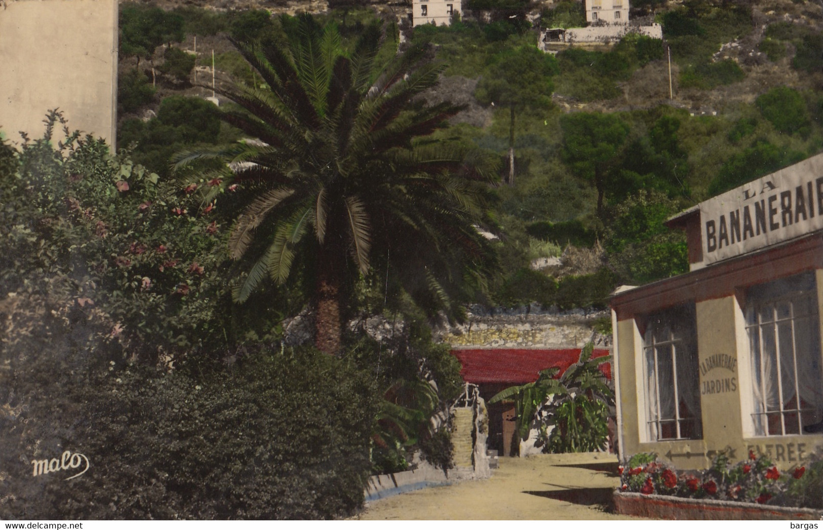 Carte Postale Eze Alpes Maritimes La Bananneraie - Eze