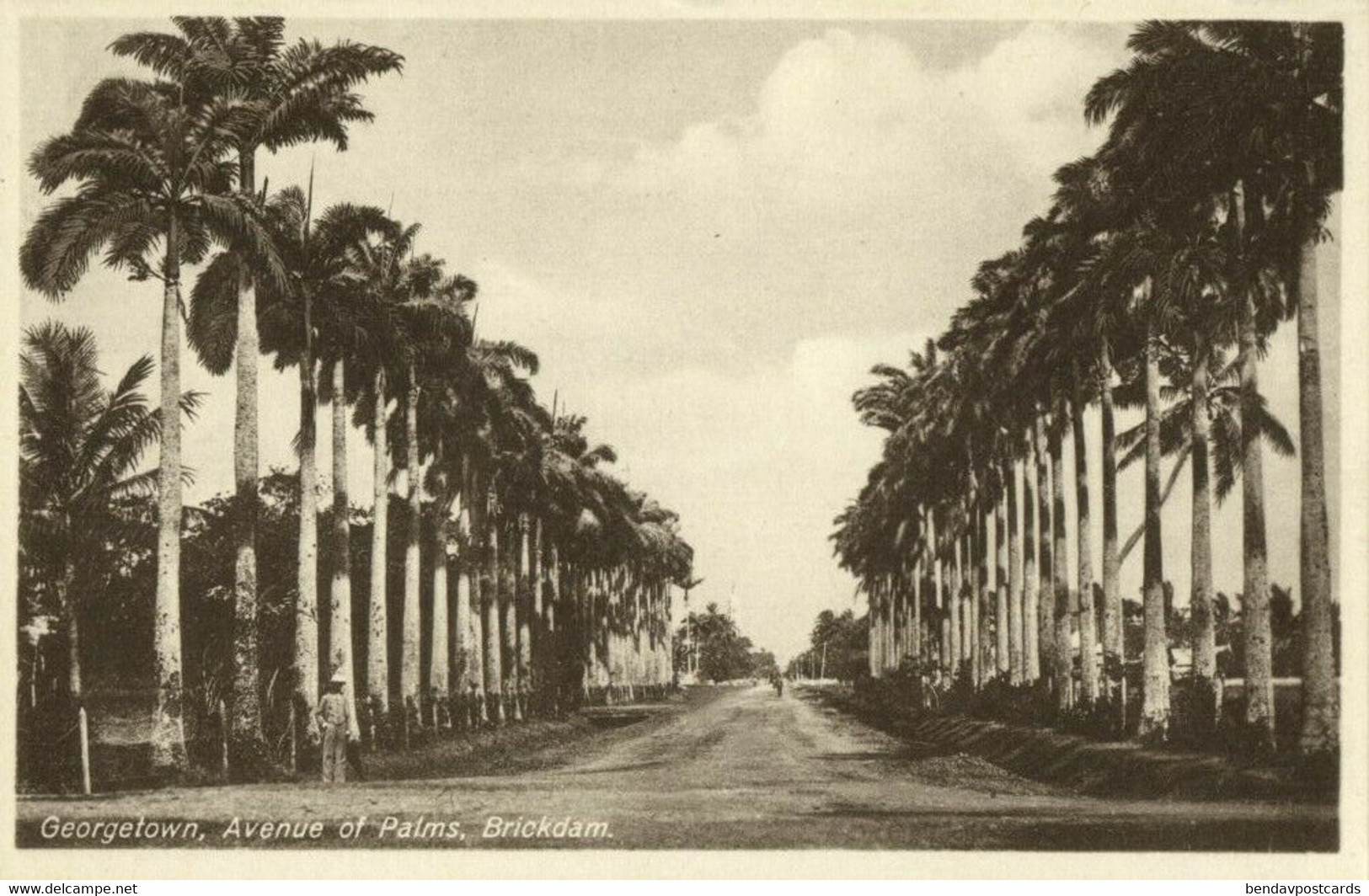 British Guiana, Guyana, Demerara, GEORGETOWN, Brickdam, Avenue Of Palms (1920s) Postcard - Guyana (ex Guyana Britannica)