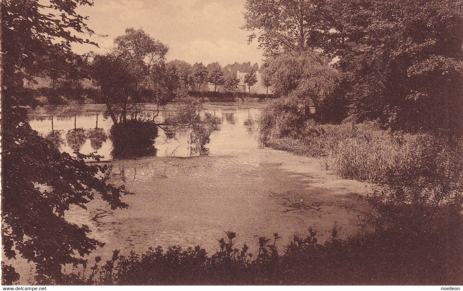 Gaesbeek - Le Grand étang Dit L'étang Tordu - Lennik