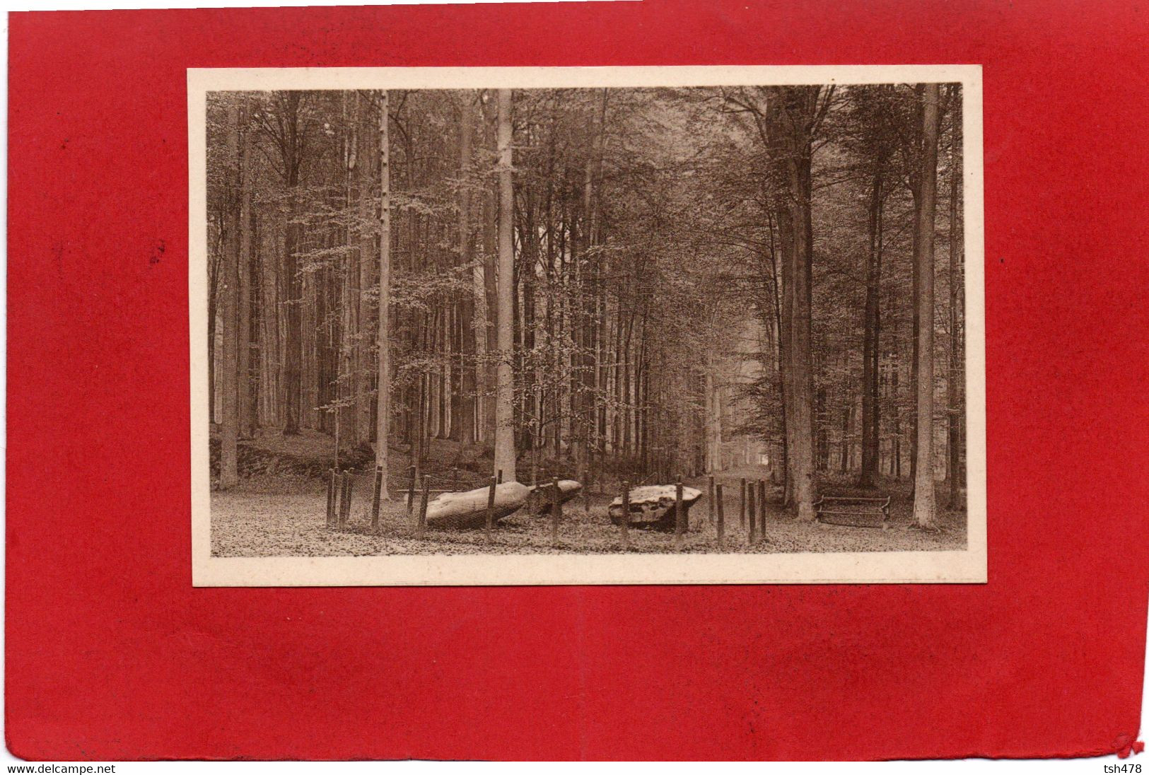 BELGIQUE---TERVUEREN---le Parc---voir 2 Scans - Tervuren