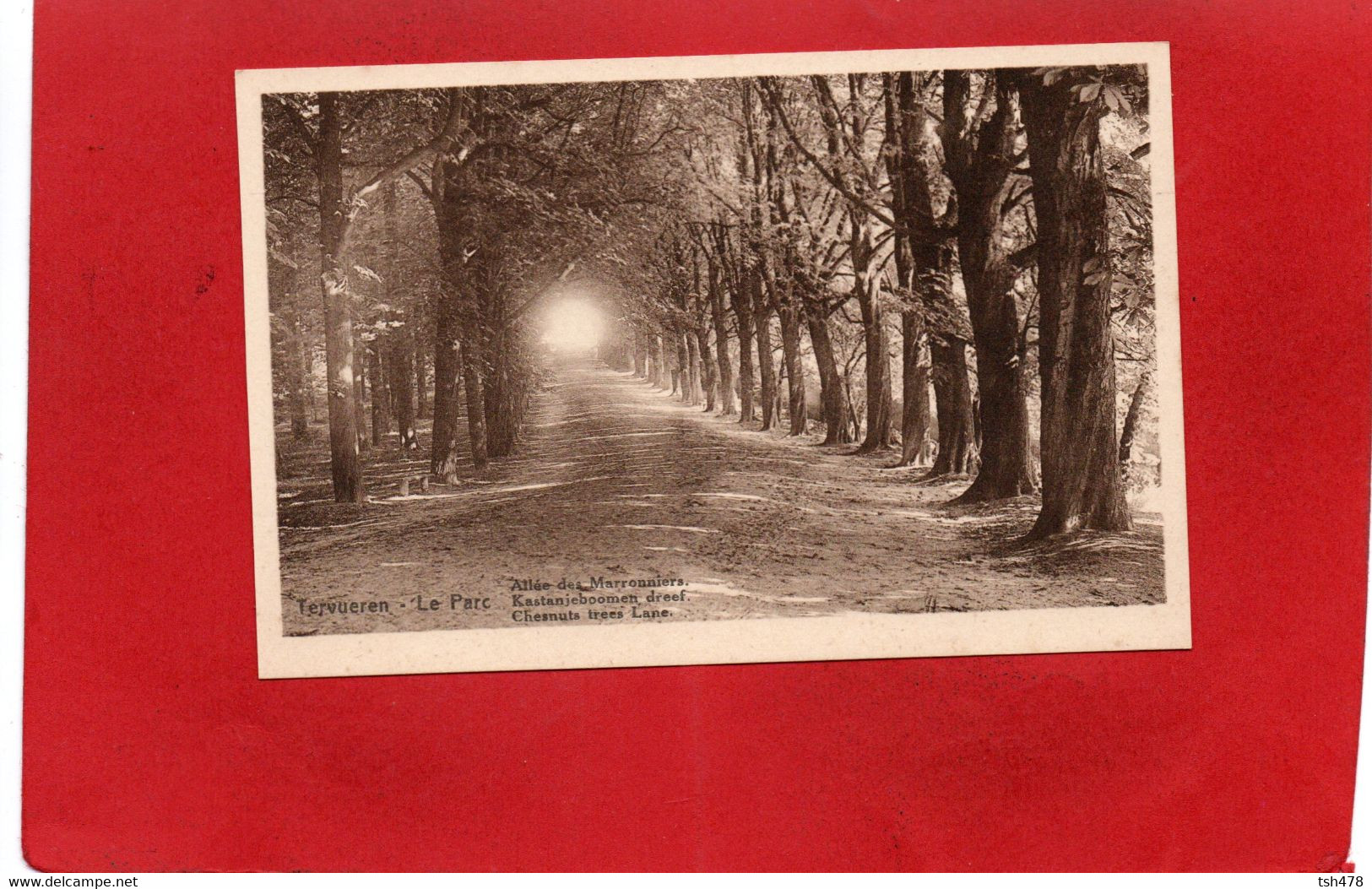 BELGIQUE---TERVUEREN---le Parc--allée Des Maronniers---voir 2 Scans - Tervuren