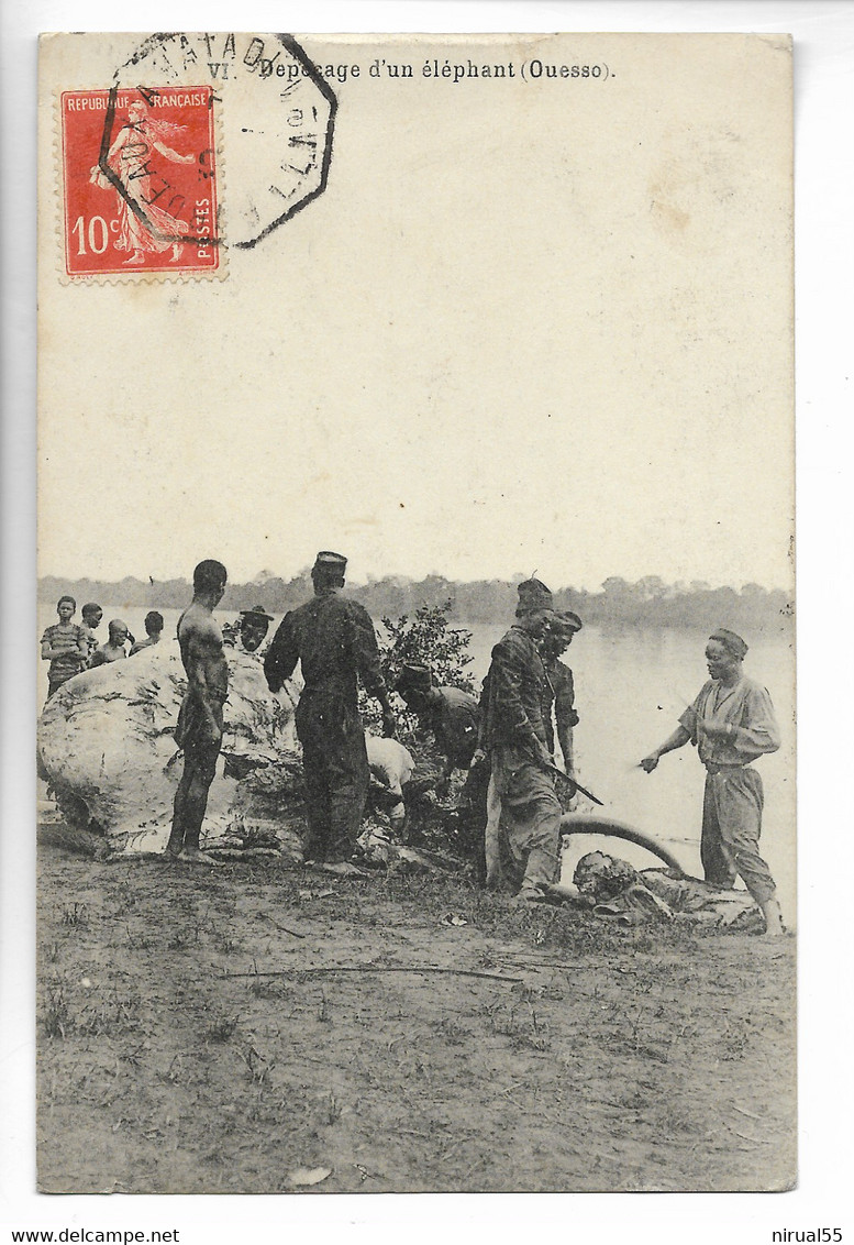 OUESSO Congo Sur Cpa DEPECAGE D'UN ELEPHANT Poste Maritime BORDEAUX à MATADI LL N°1 Sur 10c Semeuse 1911 - Autres & Non Classés