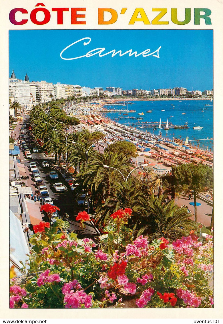 CPSM Cannes      L1911 - Cannes