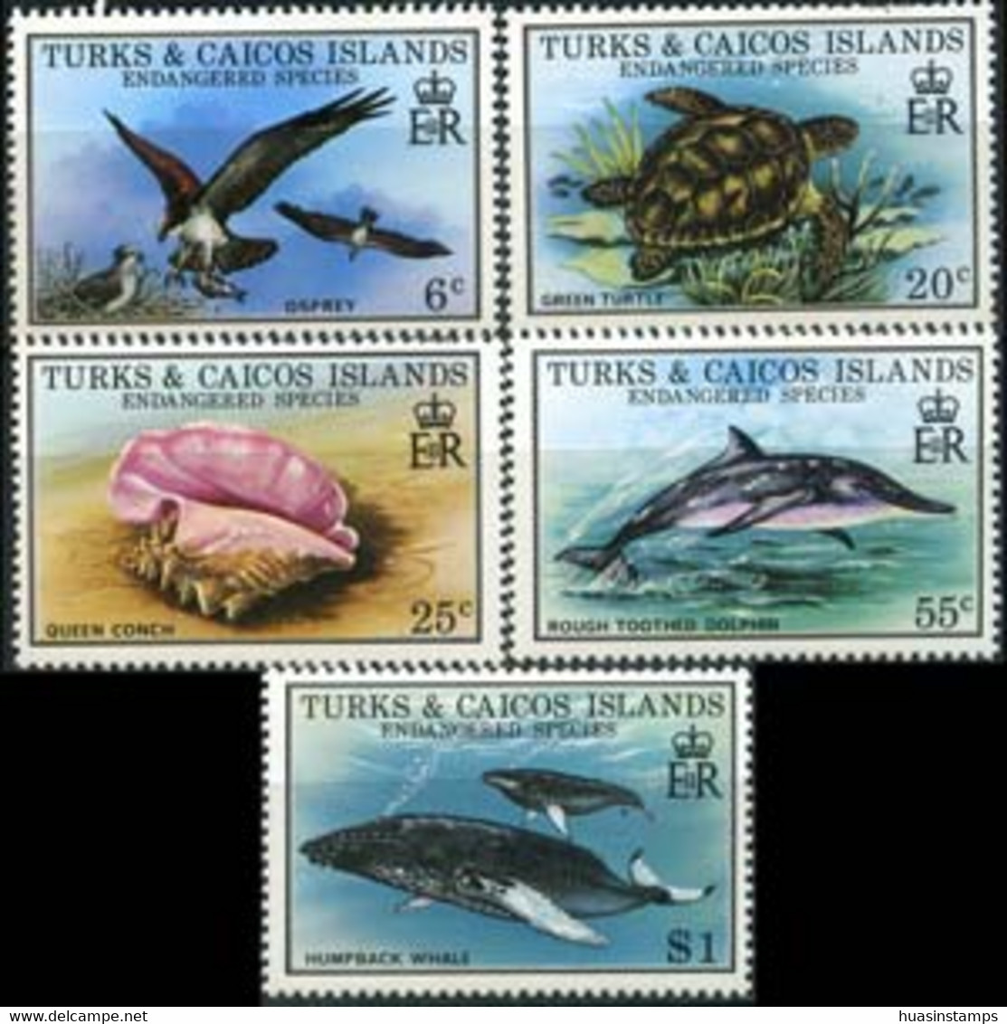 TURKS & CAICOS 1979 - Scott# 380-4 Marine Life Set Of 5 MNH - Turks And Caicos