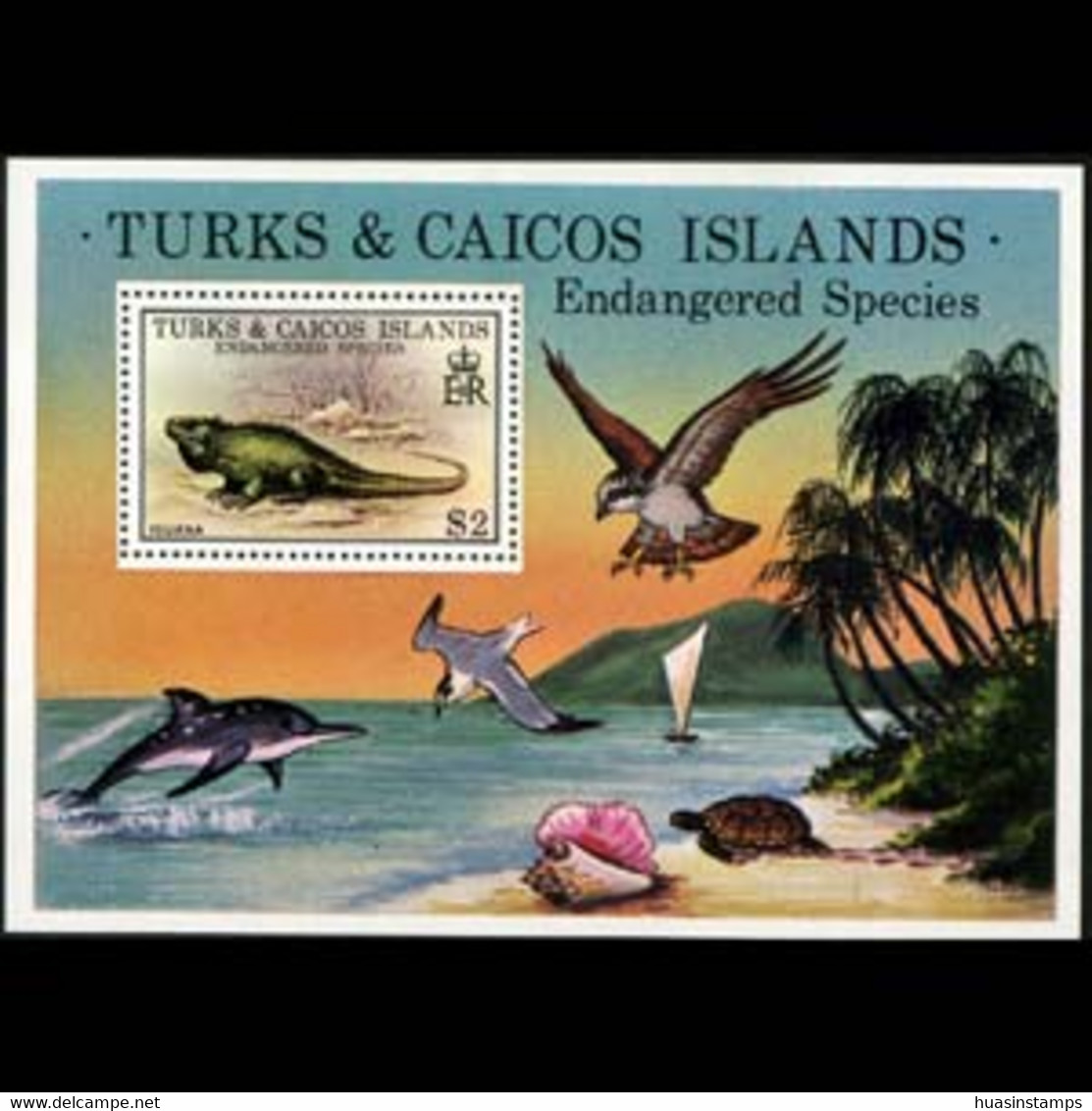 TURKS & CAICOS 1979 - Scott# 385 S/S Iguana MNH - Turks E Caicos