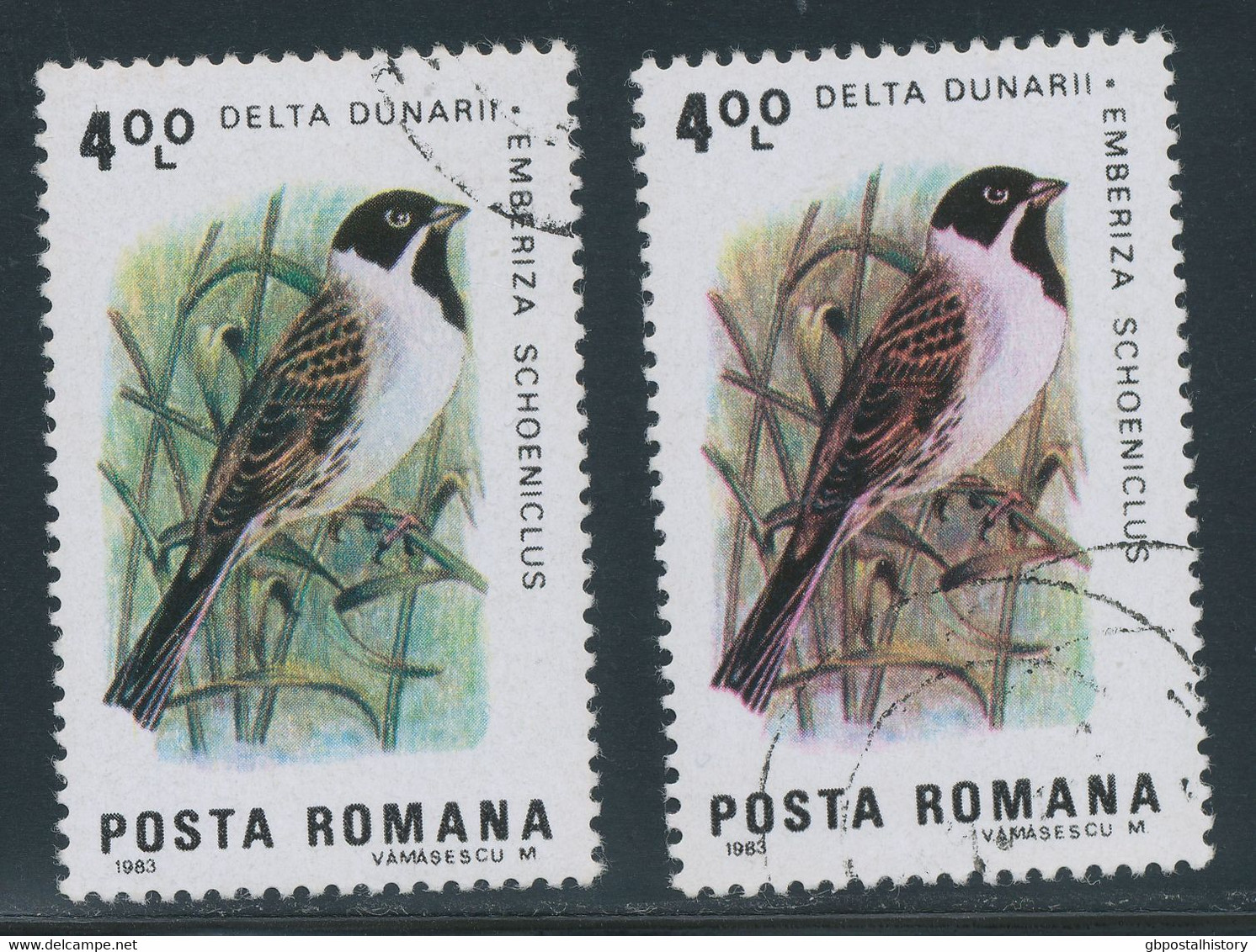 RUMÄNIEN 1983, Vögel Des Donaudeltas - 4 L. Rohrammer, Gest. Kab.-Stück, ABART: Farbe Rot Wurde Versehentlich Zuviel Bei - Variedades Y Curiosidades