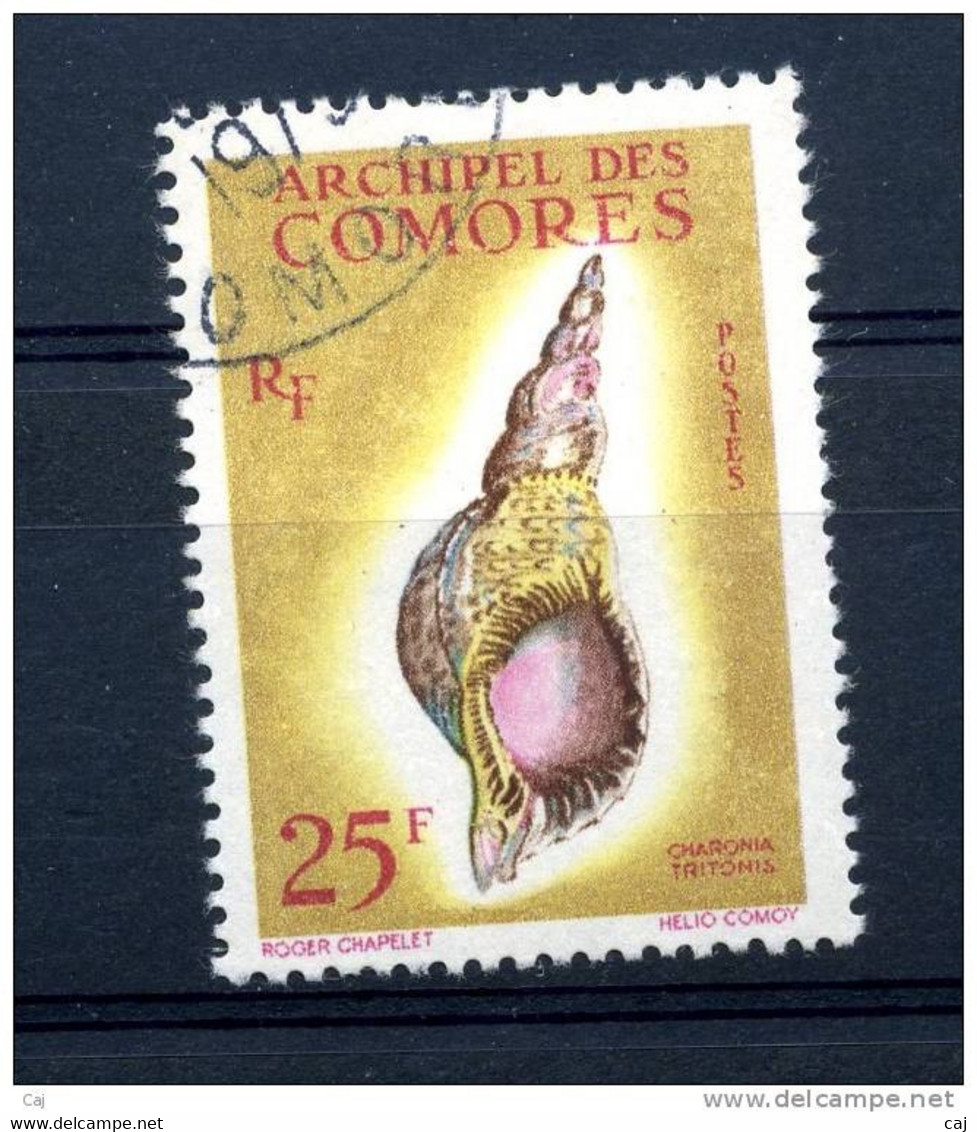 Comores  :  Yv  24  (o)  Coquillages   ,   N1 - Used Stamps