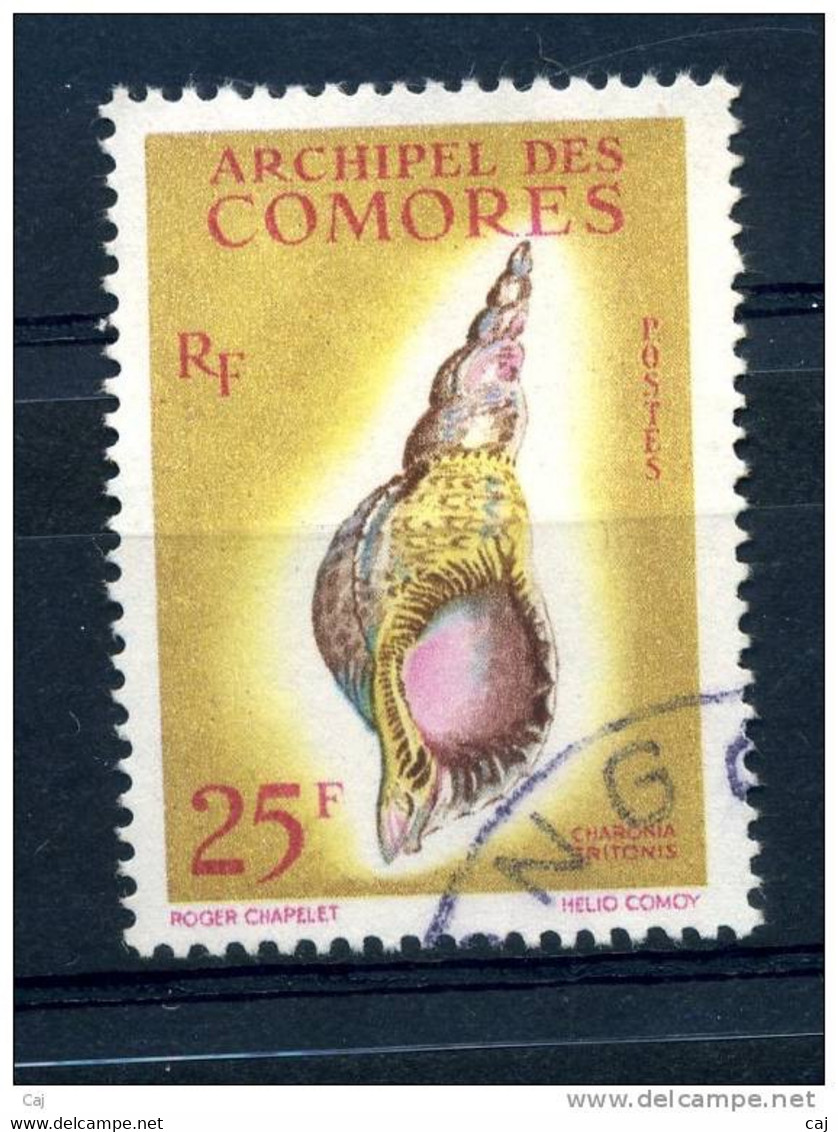 Comores  :  Yv  24  (o)  Coquillages   ,   N2 - Used Stamps