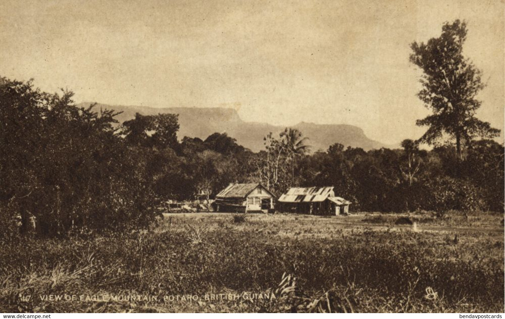 British Guiana, Guyana, Demerara, Eagle Mountain, Potaro (1920s) Tuck Postcard 1 - Guyana (ex Guyana Britannica)