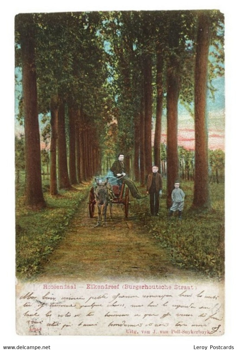 #1764 - Roosendaal, Eikendreef 1903 (NB) - Roosendaal