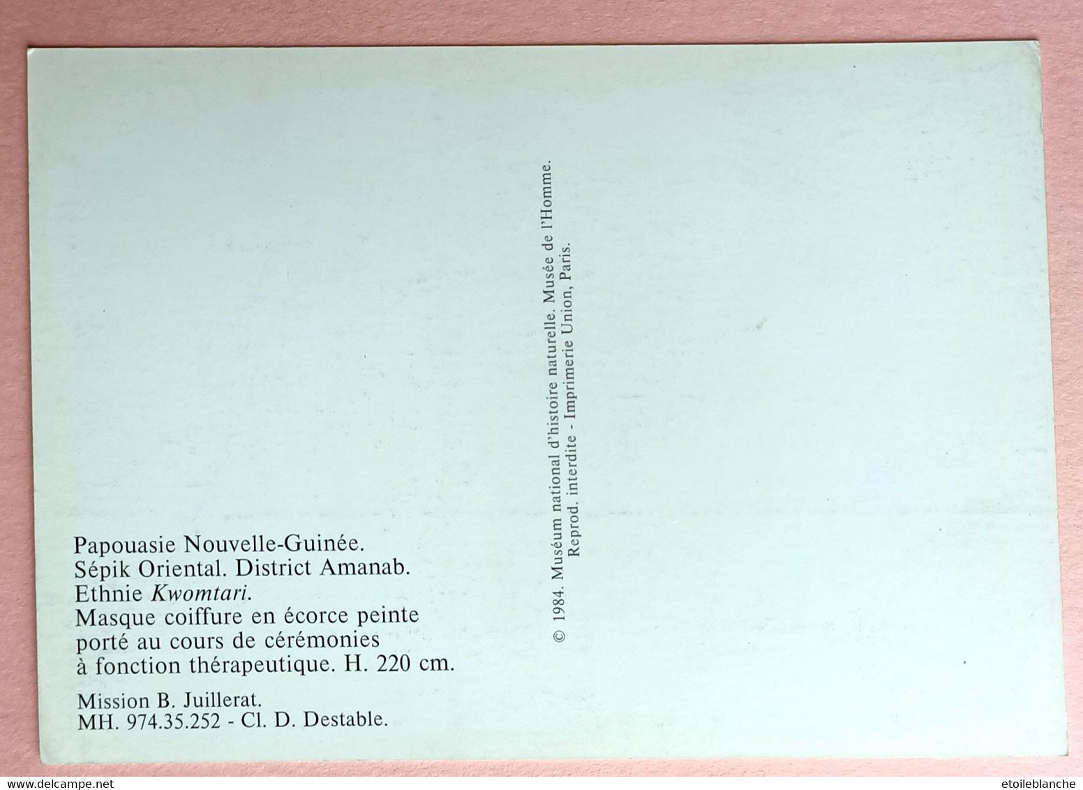 Papouasie Nouvelle Guinée - Masque Coiffure En écorce Peinte (cérémonies Thérapeutiques) - Oceanië