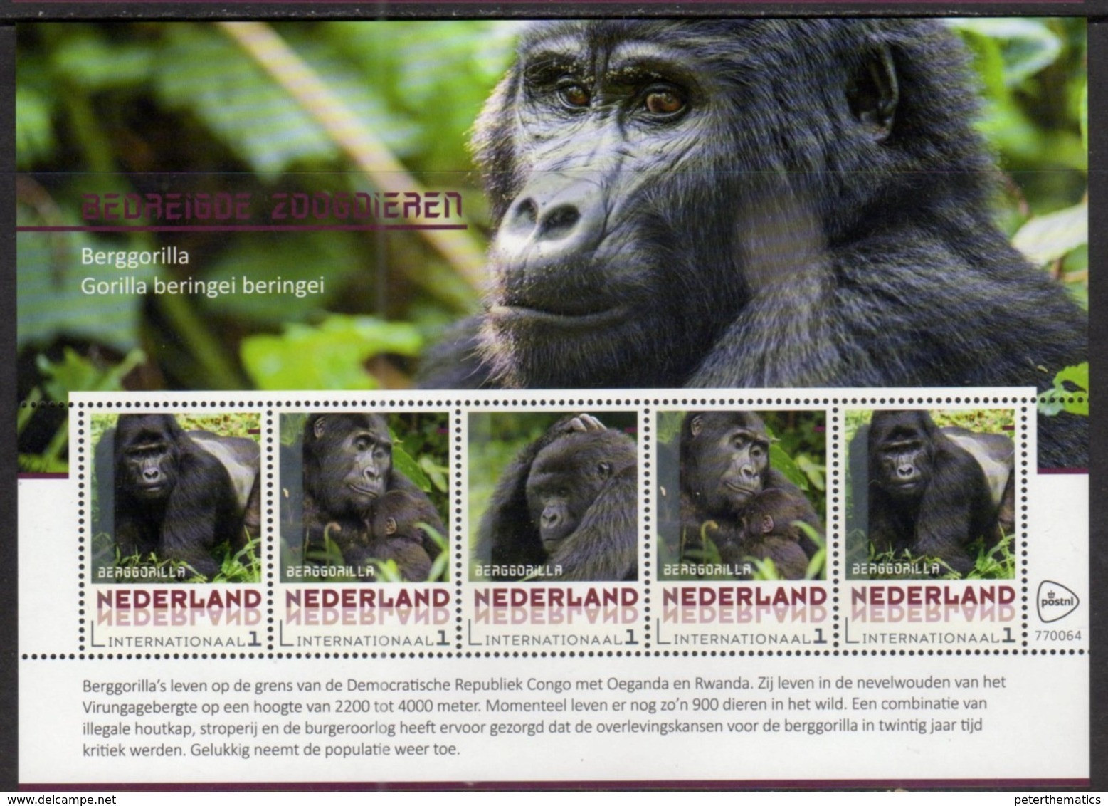NETHERLANDS, 2018, MNH, PRIMATES, GORILLAS,   SHEETLET OF 5v - Gorilles