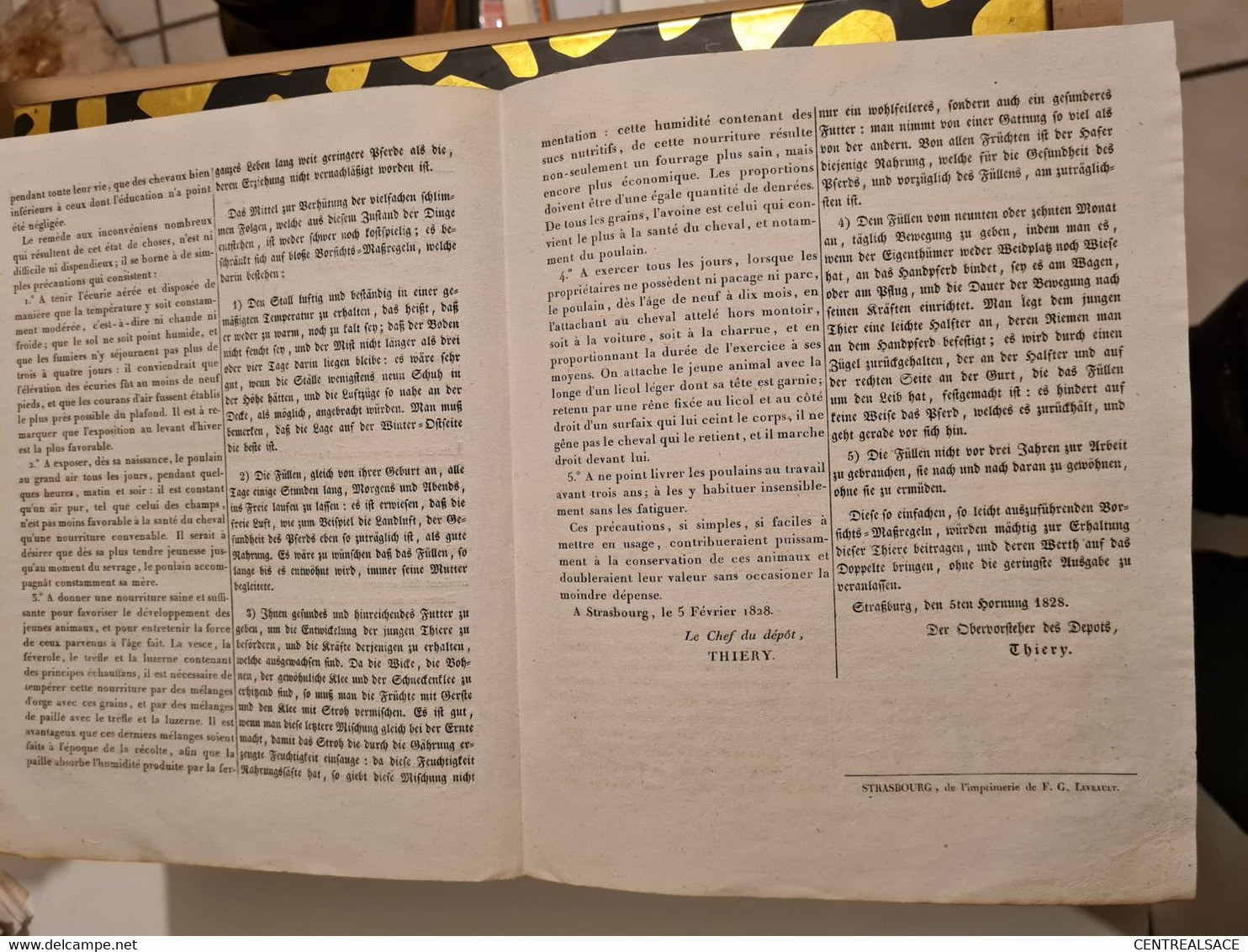 STRASBOURG 1828 DEPOT Royal D'étalons Propriétaires Et Cultivateurs Qui élèvent Des Chevaux - Historische Documenten