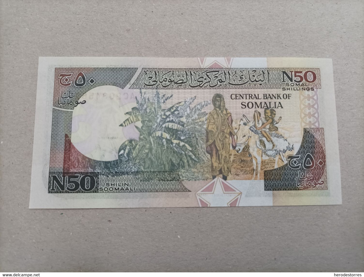 Billete De Somalia De 50 Shilin, Año 1991, Sc/plancha - Somalie