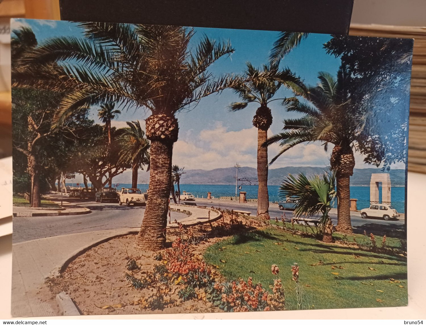 Cartolina Reggio Calabria Il Lungomare  1978, Palme - Reggio Calabria