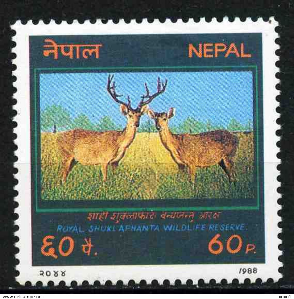 Nepal 1988 MiNr. 489  Mammals, Marsh Deer Shukla Phanta Royal Game Reserve 1v  MNH** 1.00 € - Népal