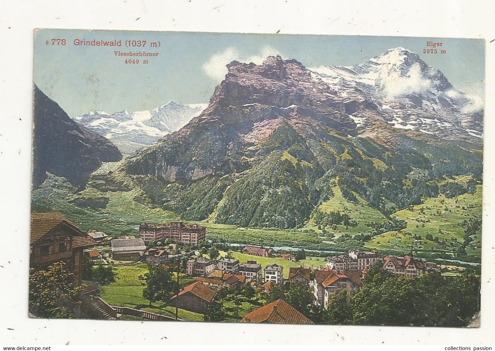 Cp,SUISSE, ZH, GRINDELWALD , 1037 M , VIESCHERHÖRNER , écrite 1916 - Wald