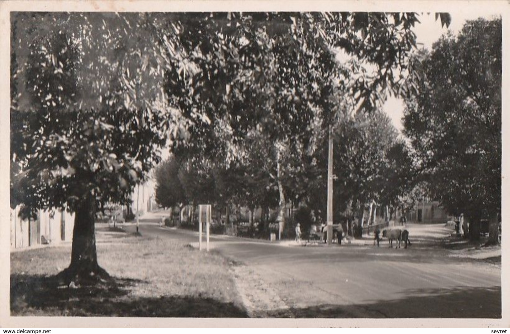 MIRAMONT-DE GUYENNE. - Avenue De Marmande. CPSM 9x14 - Other & Unclassified