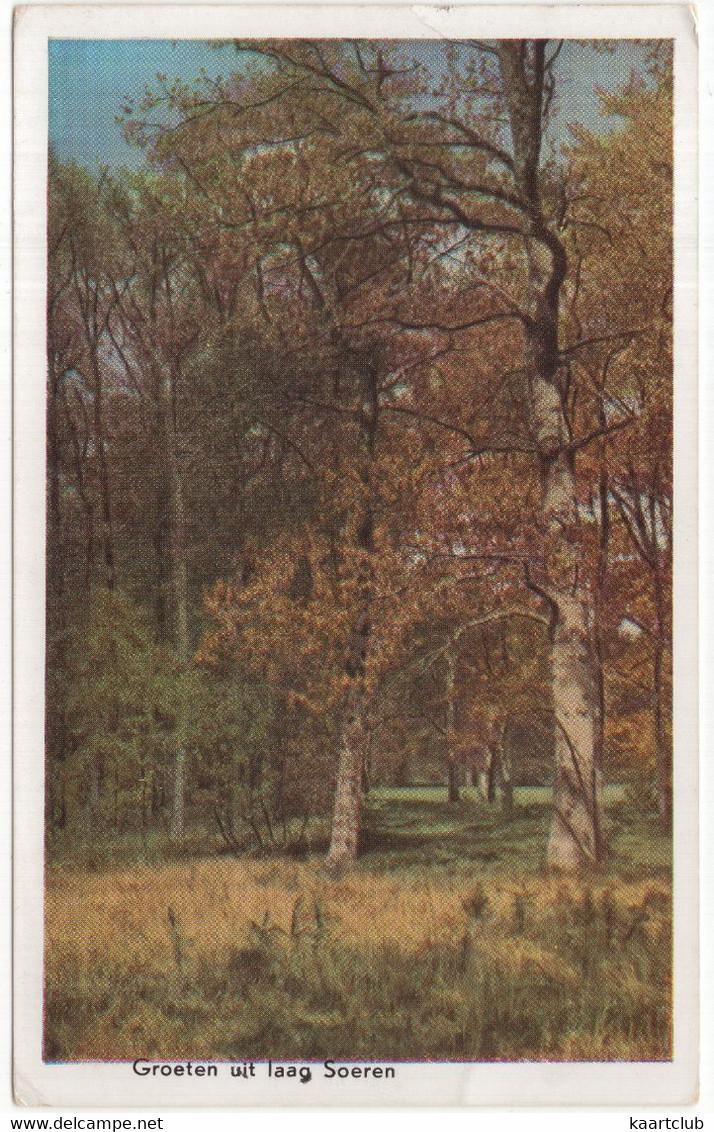 Groeten Uit Laag Soeren - (Gelderland, Nederland/Holland) - Natuur - Rheden