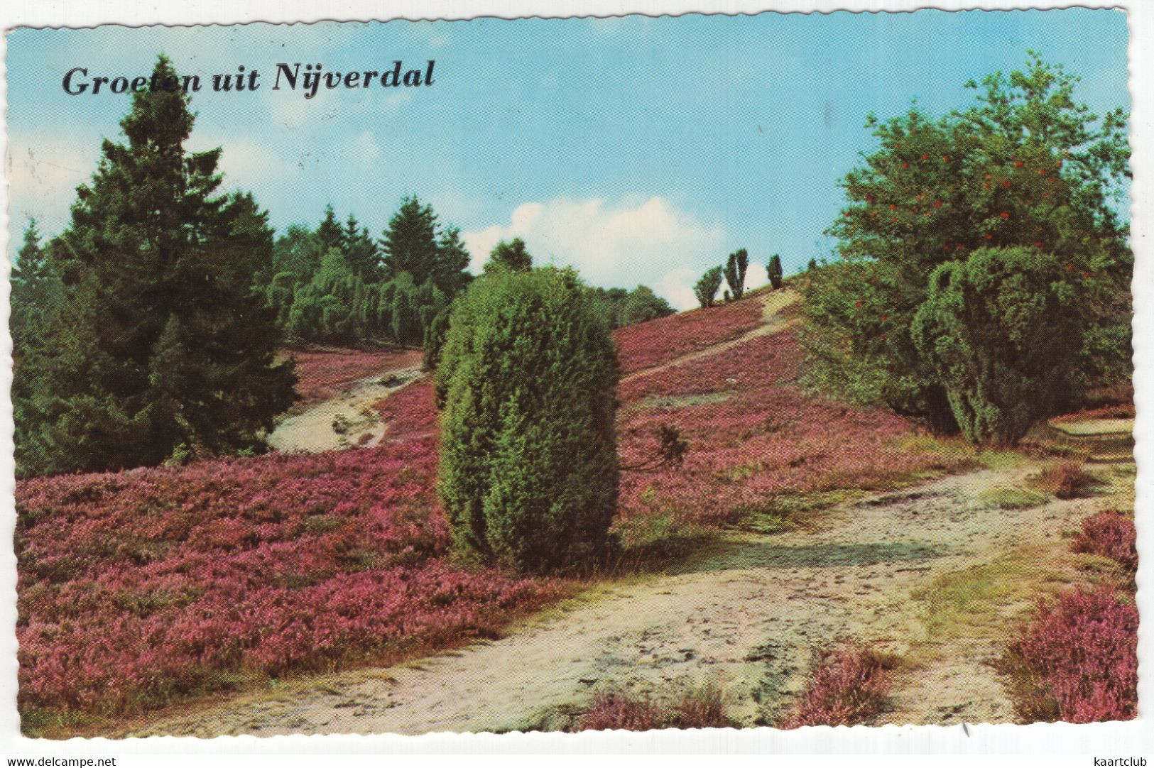 Groeten Uit Nijverdal - (Overijssel, Nederland/Holland) - 1965 - Natuur, Heide - Nijverdal