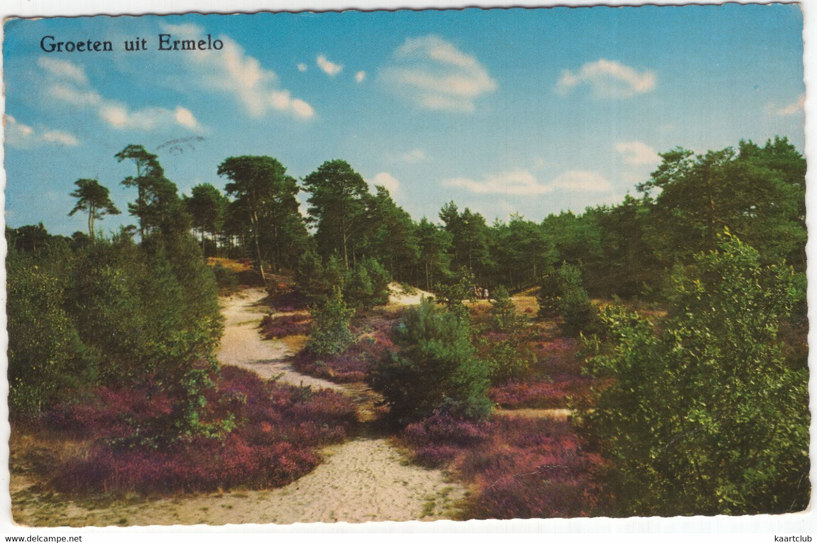 Groeten Uit Ermelo - (Gelderland, Nederland/Holland) - 1964 - Natuur, Heide - Ermelo