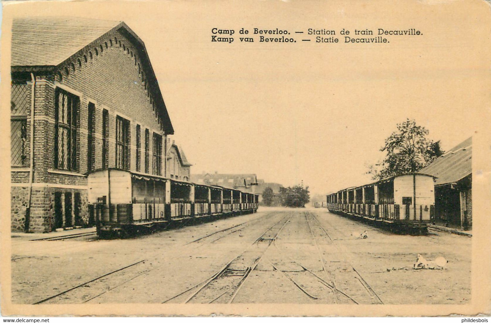 BELGIQUE  BEVERLO-BEVERLOO  Station De Train Decauville - Sonstige & Ohne Zuordnung