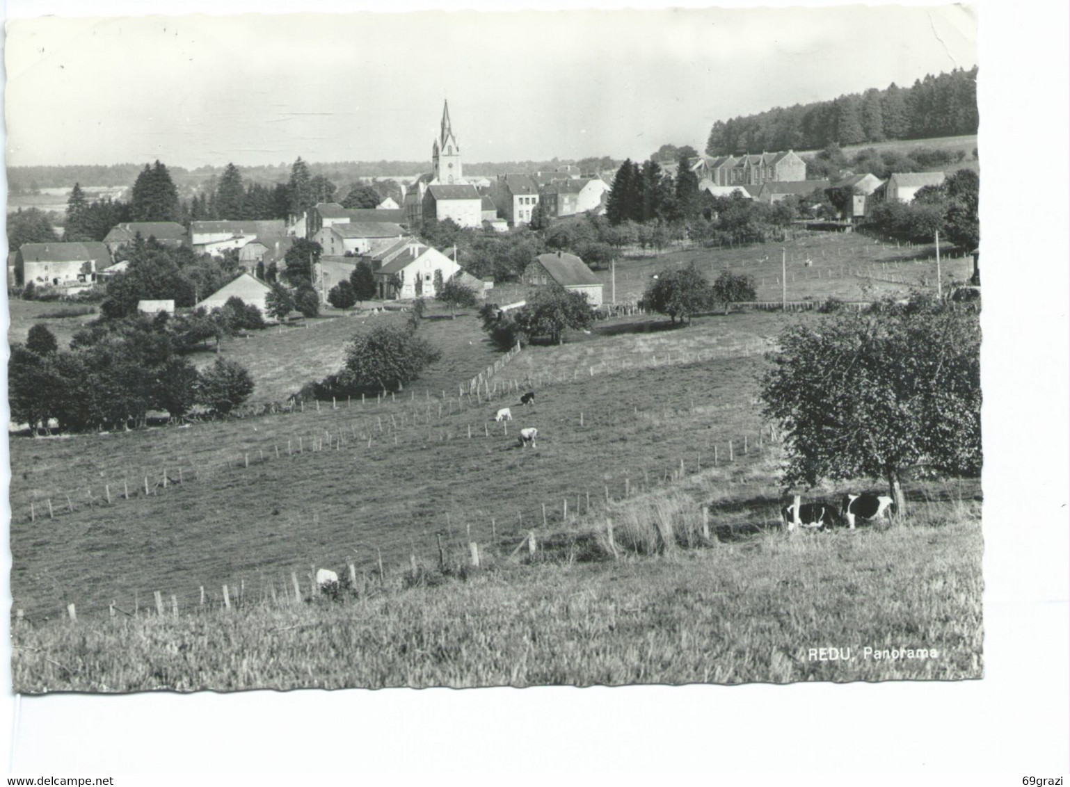 Redu Panorama ( Carte Ayant Voyagé ) - Libin