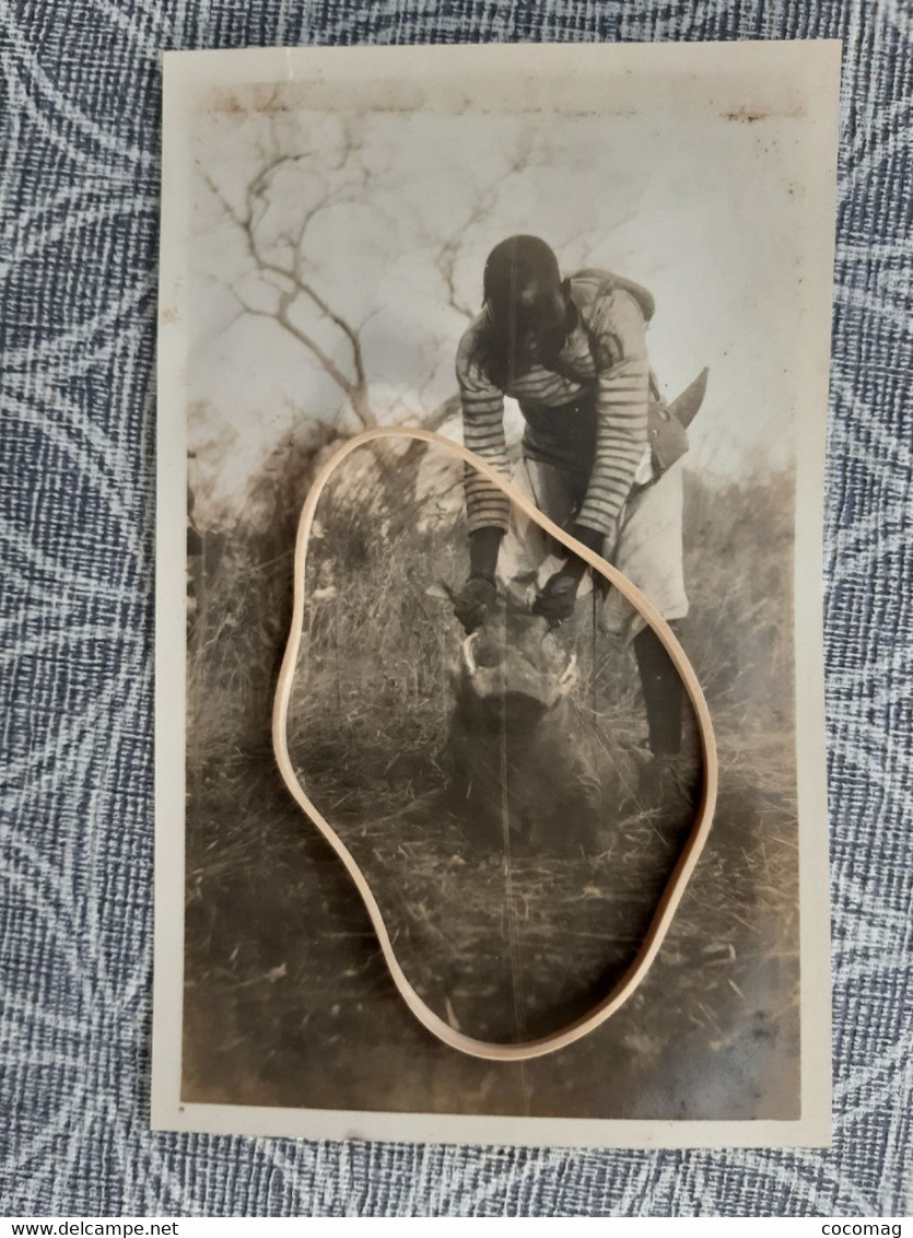 BENIN DAHOMEY PHOTO  SAFARI  LA CHASSE PHACOCHERE  TROPHE PHOTO DEBUT 1900 - Benin